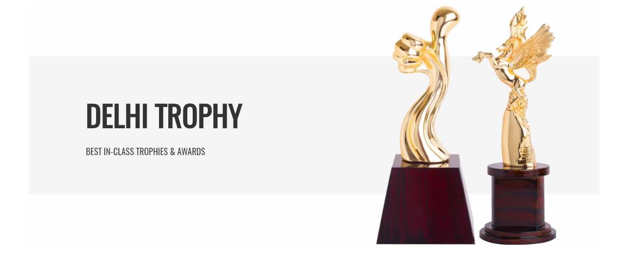 Delhi Trophy: The Face Of Trophy Manufacturing In India.